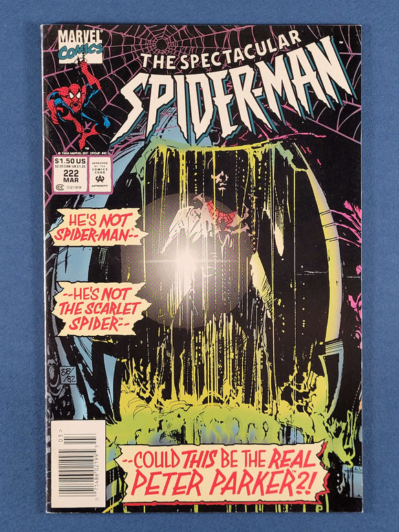 Spectacular Spider-Man Vol. 1  #222  Newsstand