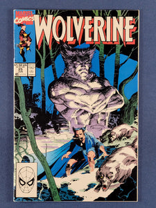Wolverine Vol. 2  #25