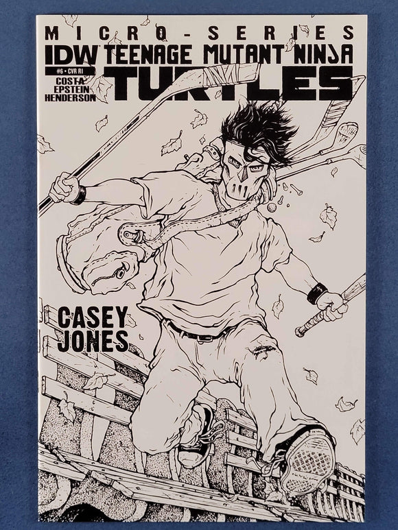 Teenage Mutant Ninja Turtles: Micro Series  # 6 Variant