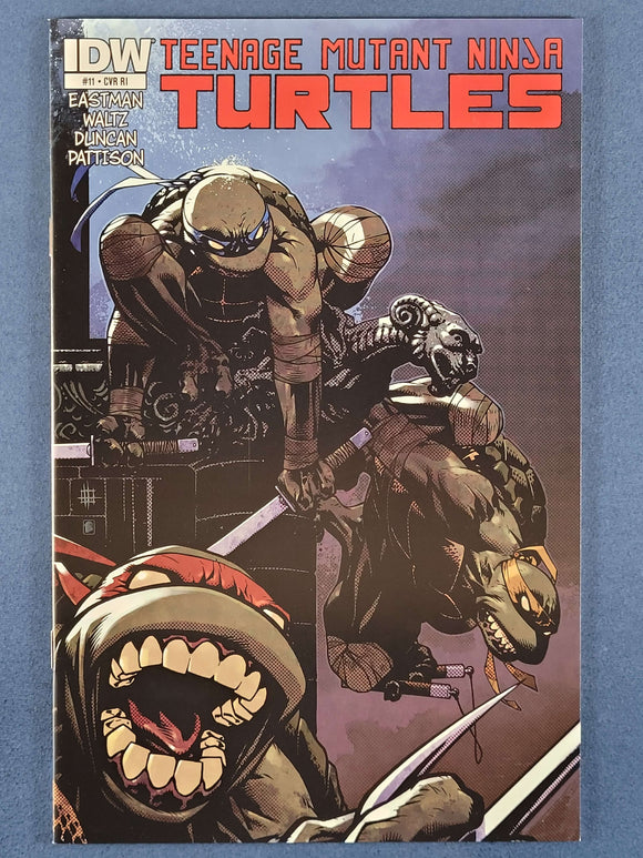 Teenage Mutant Ninja Turtles Vol. 6  # 11 Variant