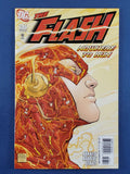 Flash Vol. 2  # 246