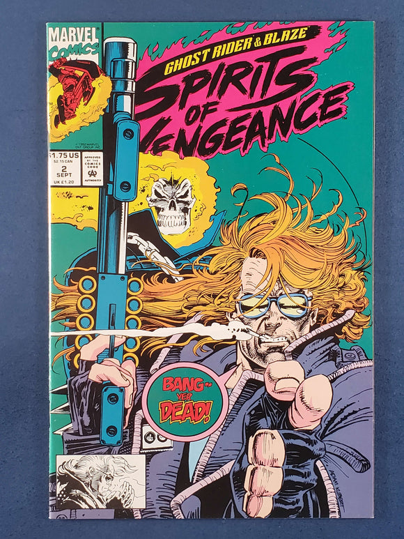 Ghost Rider / Blaze: Spirits of Vengeance  # 2