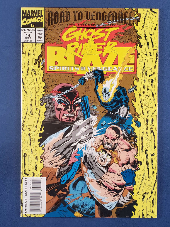 Ghost Rider / Blaze: Spirits of Vengeance  # 14