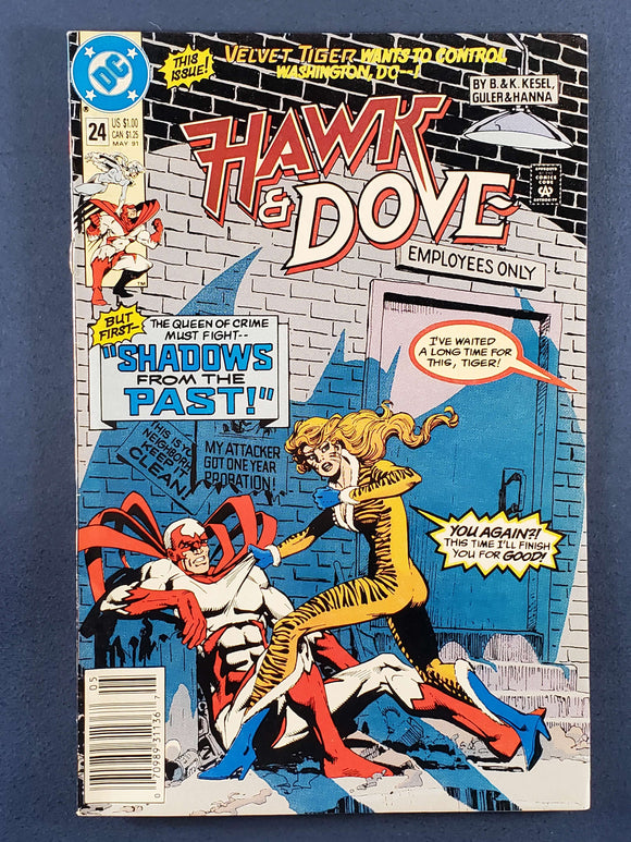 Hawk & Dove Vol. 3 # 24