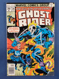 Ghost Rider Vol. 1 # 29