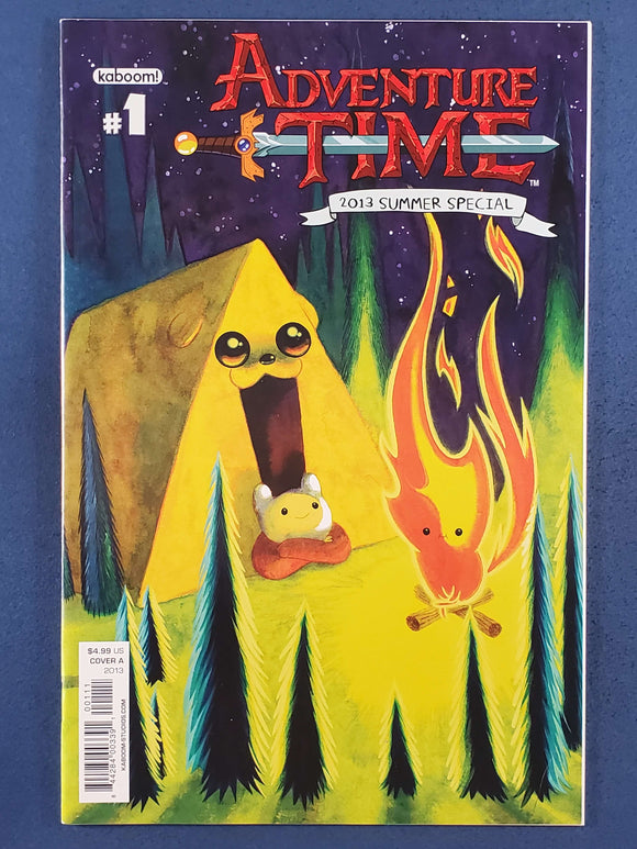 Adventure Time:  2013 Summer Special (One Shot)