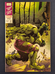 Hulk Vol. 6  # 2 Unknown Comics Variant