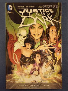 Justice League Dark Vol. 1  In The Dark  TPB