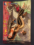 Catwoman Vol. 1  The Game  TPB