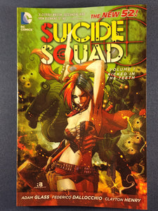 Suicide Squad Vol. 1  Kicked in The Teeth  TPB