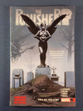Punisher Vol. 2  End of The Line  TPB