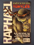 Teenage Mutant Ninja Turtles Vol. 6  # 4