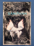 Sandman  # 27