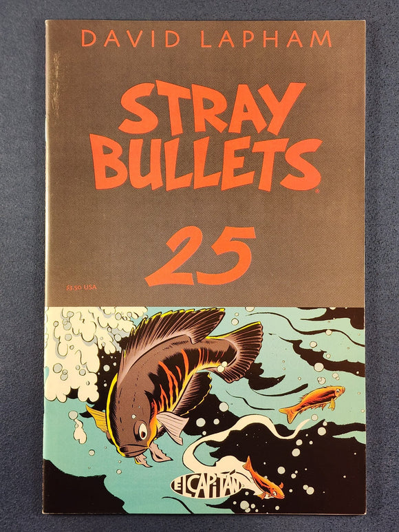 Stray Bullets Vol. 1  # 25