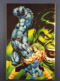 Incredible Hulk Vol. 1  # 600 Variant