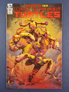 Teenage Mutant Ninja Turtles: Road To 100 (One Shot)