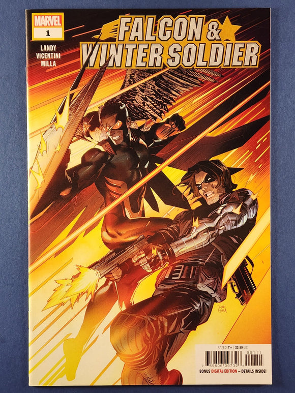 Falcon & Winter Soldier  # 1