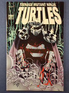 Teenage Mutant Ninja Turtles Vol. 3  # 13