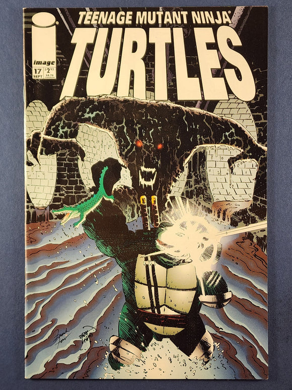 Teenage Mutant Ninja Turtles Vol. 3  # 17