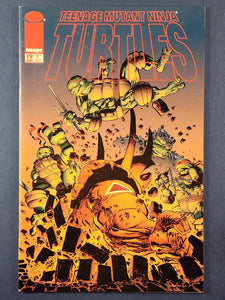 Teenage Mutant Ninja Turtles Vol. 3  # 19