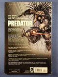 Predator: Fire and Stone