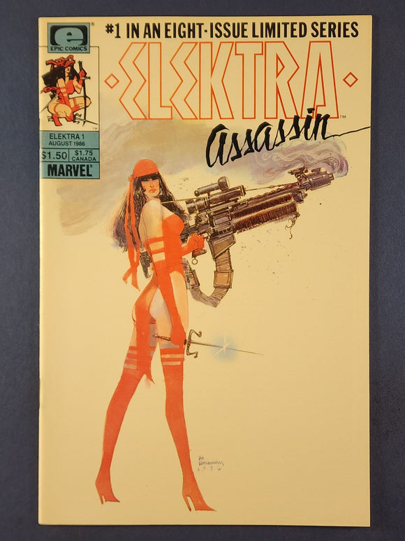 Elektra: Assassin  # 1