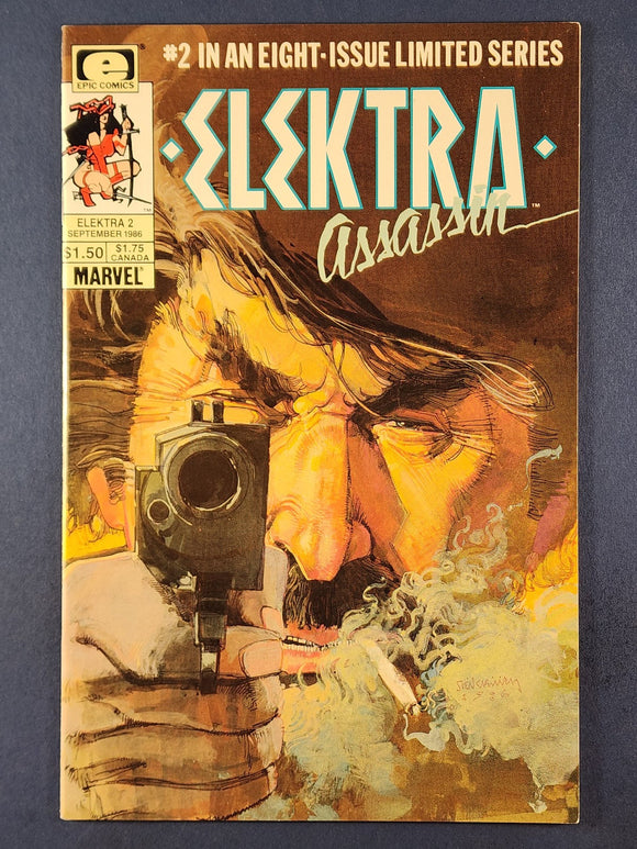 Elektra: Assassin  # 2
