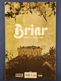 Briar  # 2  1:10 Incentive Variant Signed By Yannick Paquette