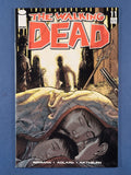 Walking Dead  # 11