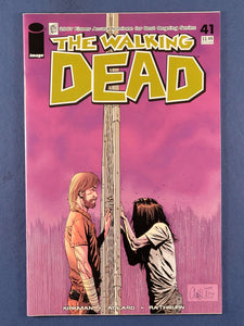 Walking Dead  # 41