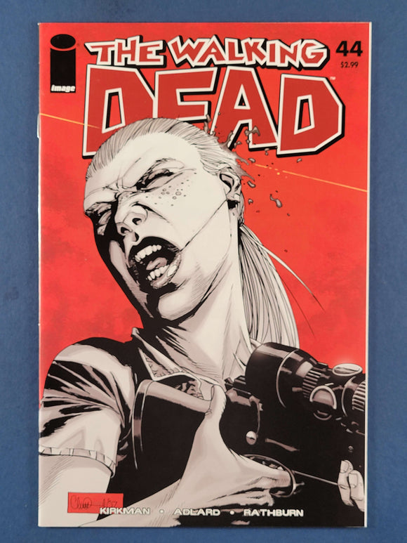 Walking Dead  # 44