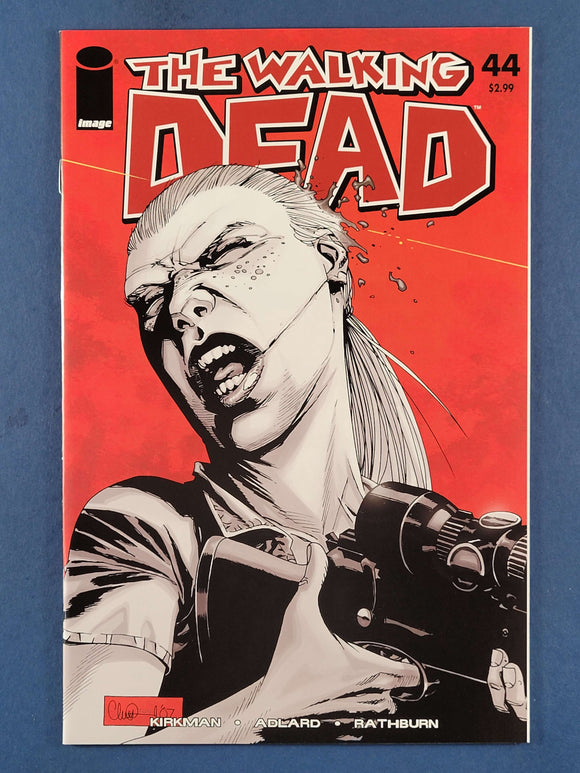 Walking Dead  # 44