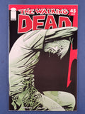 Walking Dead  # 45