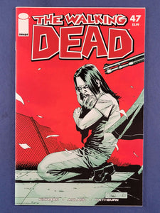 Walking Dead  # 47