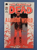 Walking Dead  # 96