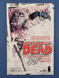 Walking Dead  # 96