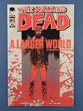 Walking Dead  # 96