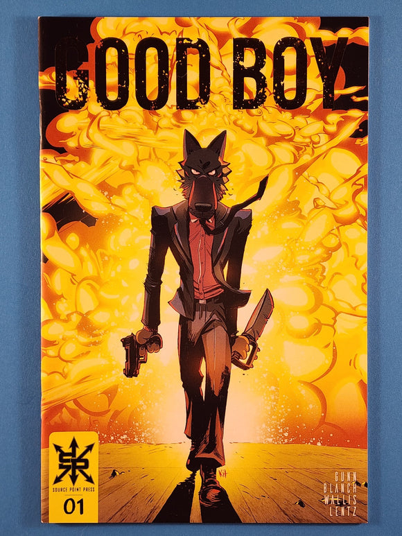 Good Boy Vol. 1  # 1  Kickstarter Foil Exclusive