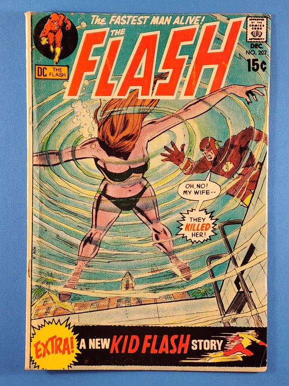 Flash Vol. 1  # 202