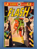 Flash Vol. 1  # 243