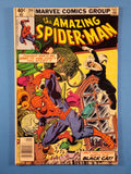 Amazing Spider-Man Vol. 1  # 204  Newsstand