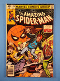 Amazing Spider-Man Vol. 1  # 206  Newsstand
