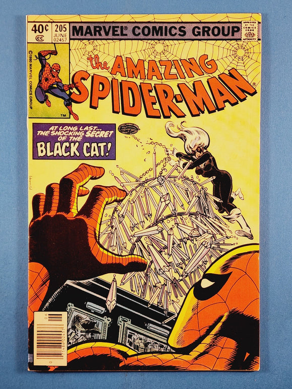 Amazing Spider-Man Vol. 1  # 205