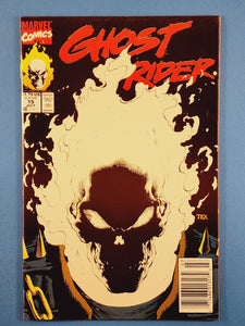 Ghost Rider Vol. 2  # 15  Newsstand