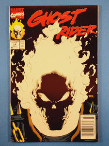 Ghost Rider Vol. 2  # 15  Newsstand