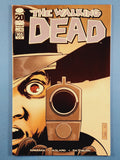 Walking Dead  # 105