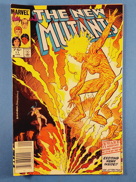 New Mutants Vol. 1  # 11  Canadian