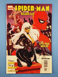 Spider-Man and the Black Cat: The Evil That Men Do - Complete Set  # 1-6
