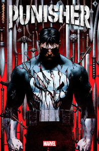 PUNISHER 1