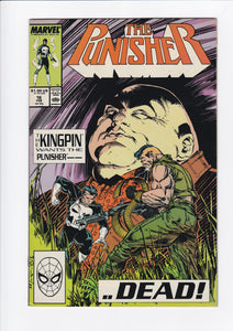 Punisher Vol. 2  # 16